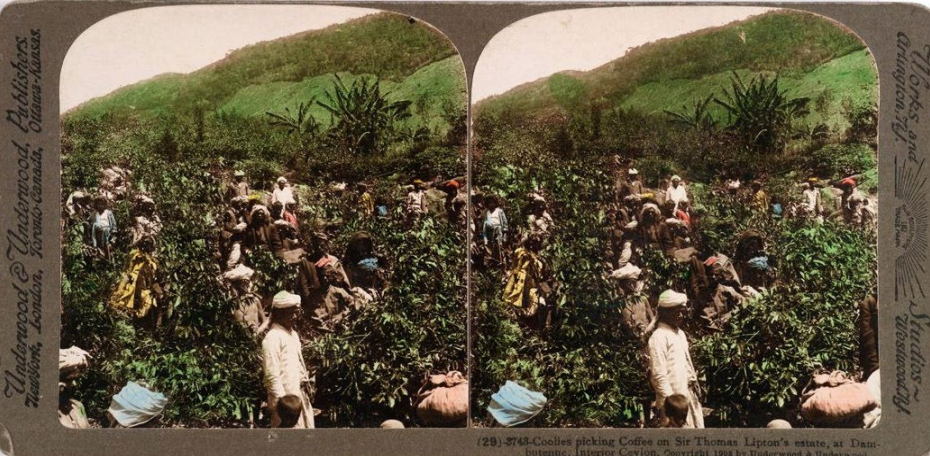 Arts Etobicoke: ROM South Asian History Workshop | Stereographs from India