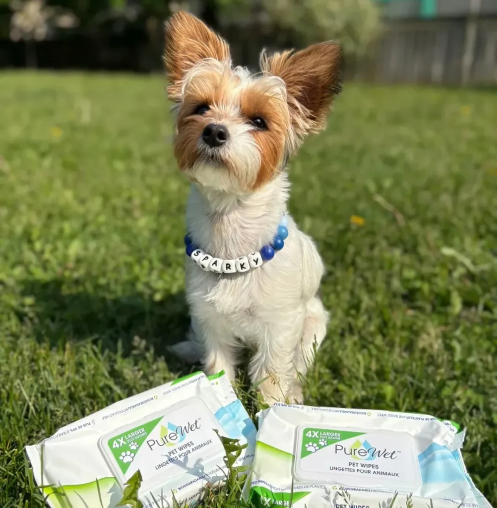 Pure Pet Wipes